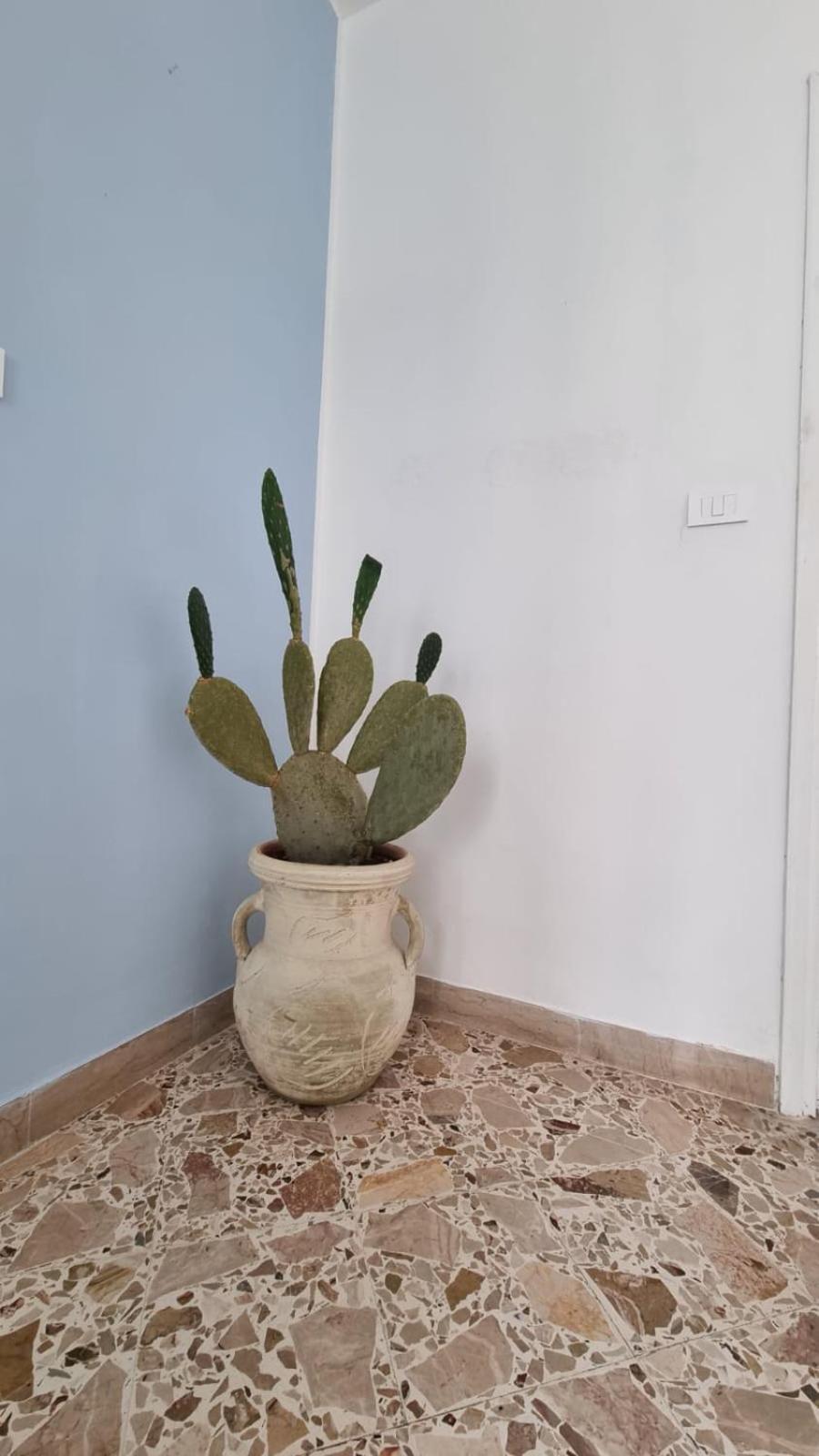 Apartamento Il Fico D'India Marsala Exterior foto
