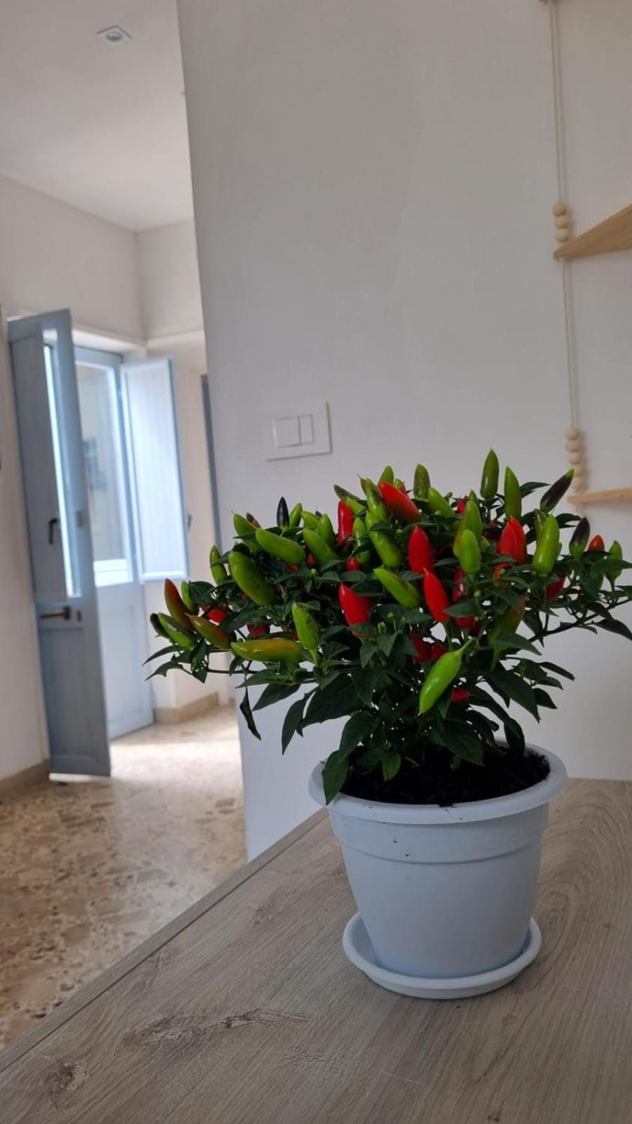 Apartamento Il Fico D'India Marsala Exterior foto