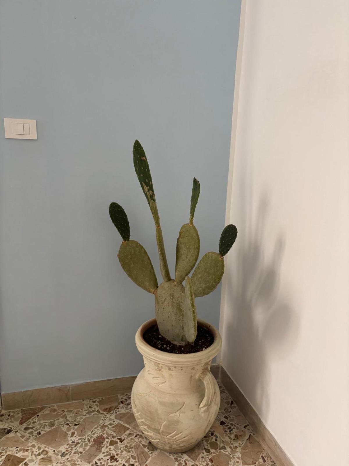 Apartamento Il Fico D'India Marsala Exterior foto